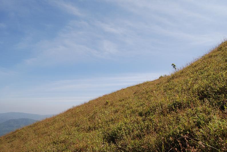 th_DSC_0040.jpg