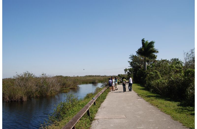 everglades