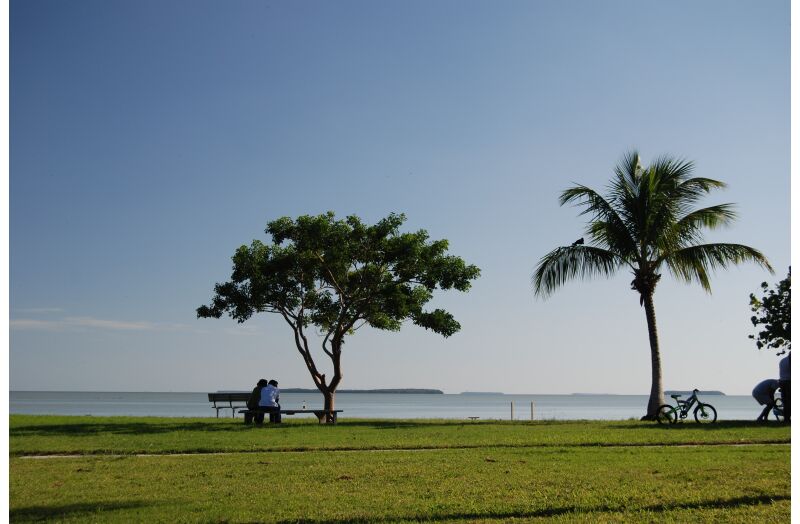 everglades