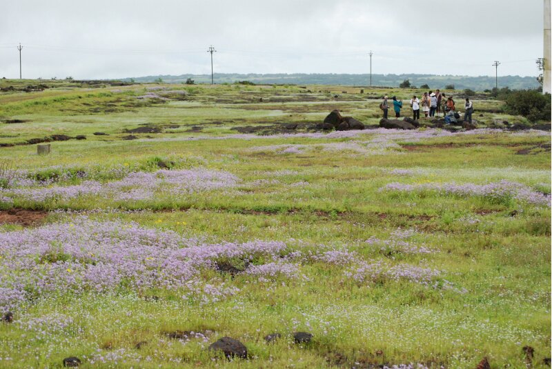 Kas Plateau