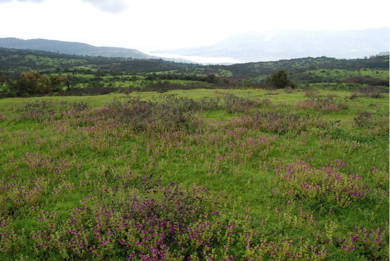 Kas Plateau