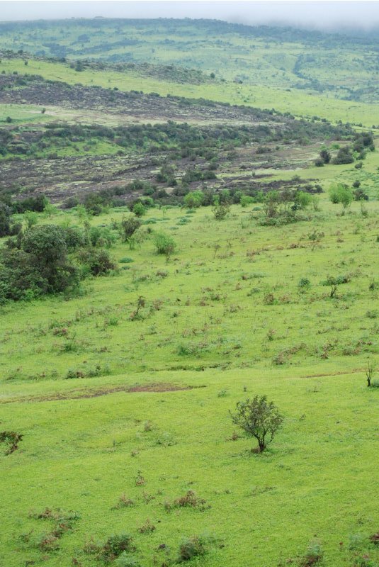 Kas Plateau