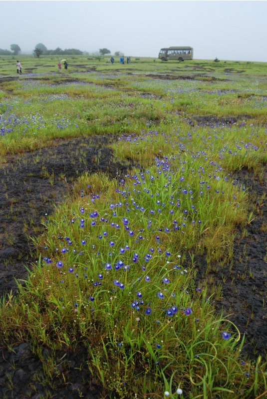 Kas Plateau