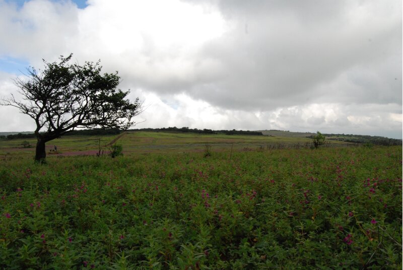 Kas Plateau