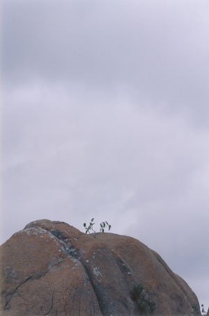 liff5.jpg