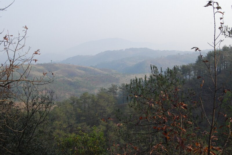 hills of meghalaya