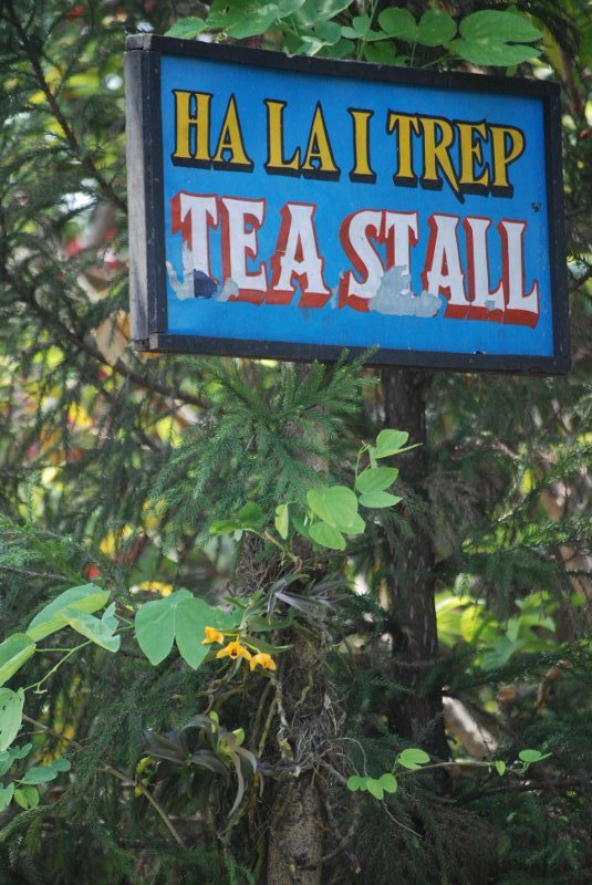 hills of meghalaya