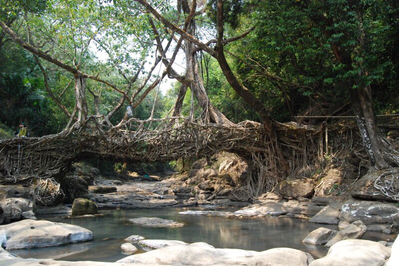 hills of meghalaya