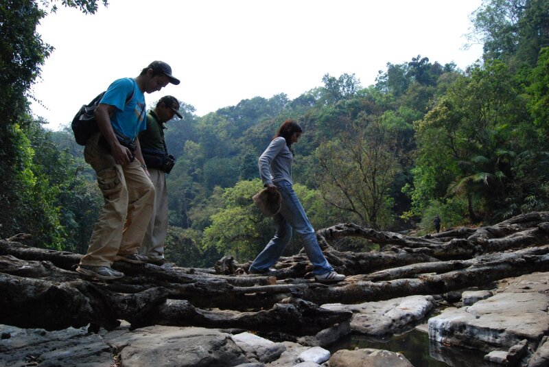 hills of meghalaya