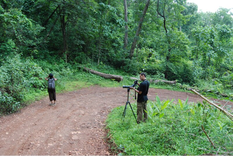 june in muttodi