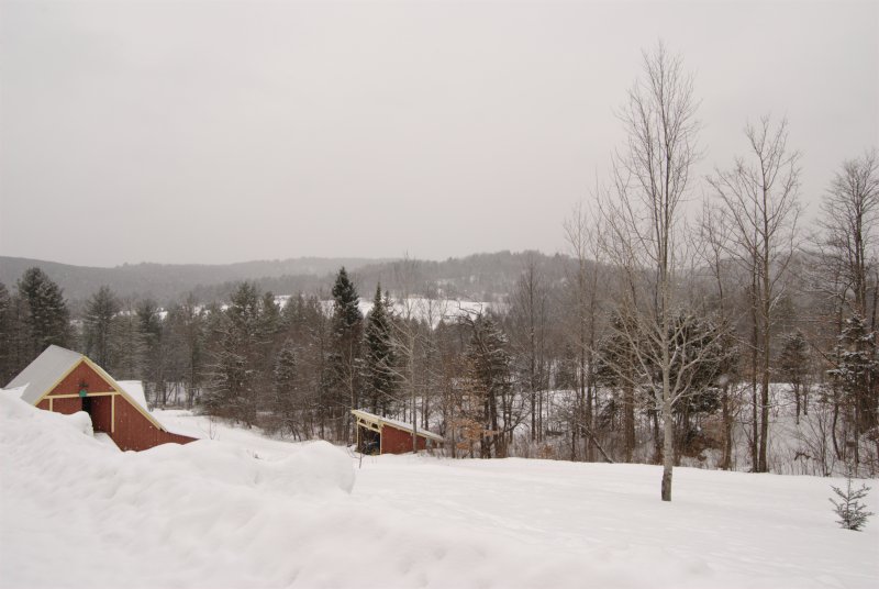 vermont winter