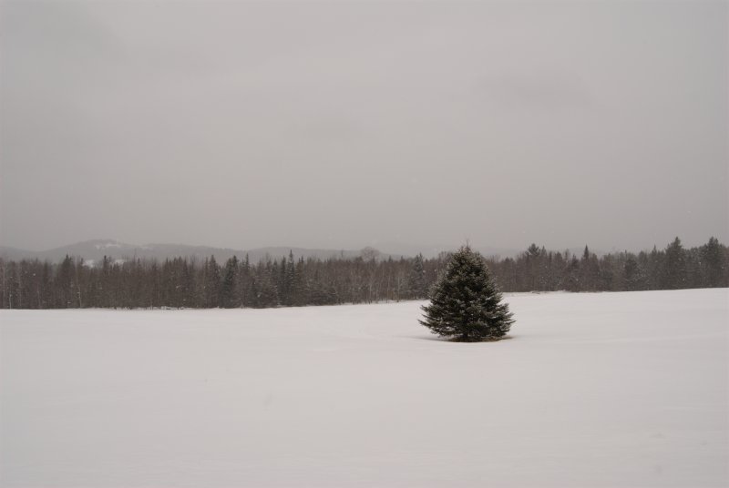 vermont winter