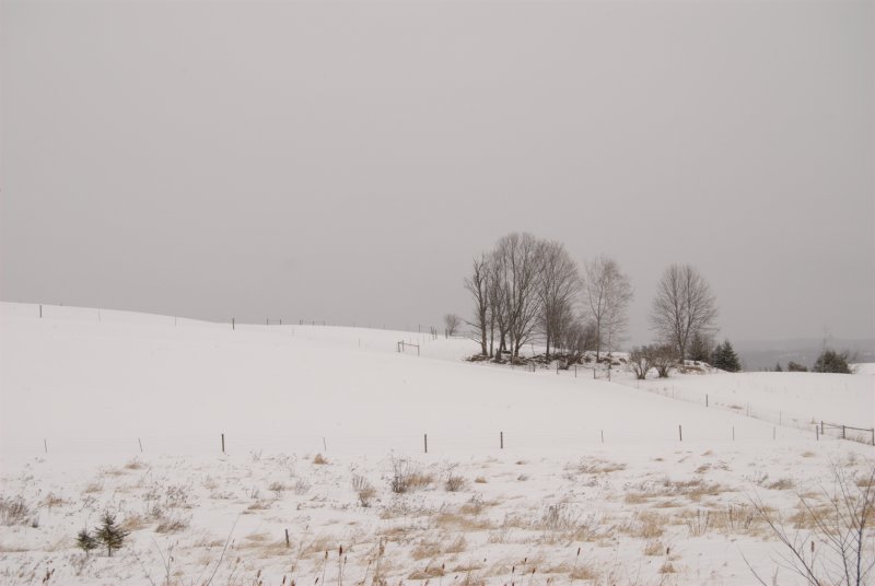 vermont winter