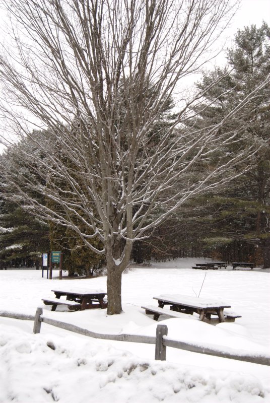 vermont winter