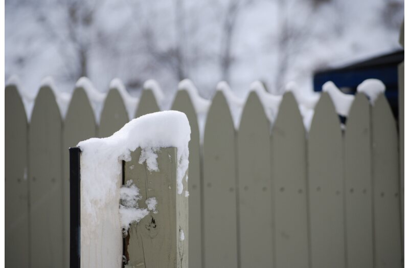 winter white