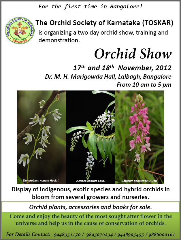 Orchid Show