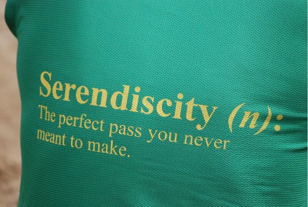 Serendiscity